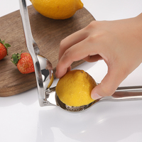 Groothandel Roestvrijstalen Citroenpers Handmatige Handpers Citruspers Fruitpers