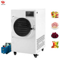 Dzjx 1 5 10 50 100 500 1000 Kg Fruit Verwerking Vacuüm Vriesdroger Lyofilisator Voor Melk Mango Gevriesdroogde Snoepautomaat