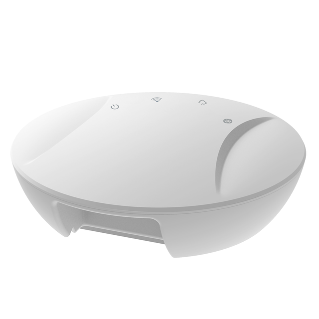 IoT Outdoor Ble Wireless Access Ethernet Smart Gateway 4.5V to 12.0V Cold Chain Monitoring 4g Gateway