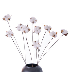 Branches de coton séchées CallaFloral, blanches, branche unique, fleurs artificielles, décoration intérieure - Product Image 5