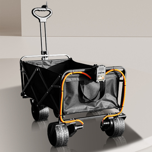 Düşük fiyat ile sıcak satış elektrikli kamp sepeti plaj vagon - Product Image 3