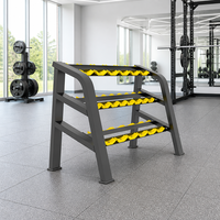 MND Fitness Promotion Nouveau Porte-Haltères 3 Niveaux pour Salle de Sport et Usage Féminin