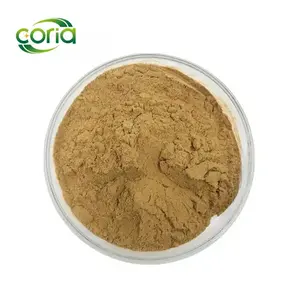 Chinese Angelica Extrat Dong Quai Extract Bulk Natuurlijke Angelica Extract Poeder