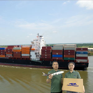 Чжэцзян, Китайский агент по доставке, Шэньчжэнь, курьерская компания в США, Япония, Канада - Product Image 1