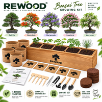 Kit de culture de bonsaï en gros avec boîte de plantation en bois, 5 variétés de graines, ensemble cadeau DIY, OEM ODM, marque privée