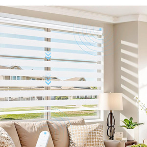 Cortina eléctrica motorizada opaca, persianas enrollables de cebra, batería Wifi inteligente, persianas lisas transparentes, ventana de doble capa - Product Image 2