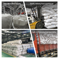 Bentonite de sodium et de calcium de qualité industrielle, argile bentonite blanche pour la peinture et la céramique, granulés de bentonite, fabriqués en Chine