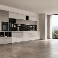 Meubles de cuisine modernes et minimalistes de luxe, solution de mobilier sur mesure pour toute la maison, pour projets résidentiels
