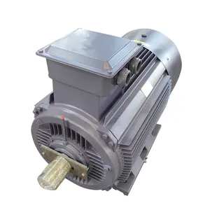 90kW Explosion Proof Asynchronous Electric Three Phase Induction Motor Pump