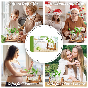 Estación de propagación de plantas Terrario de plantas con soporte de madera Regalos únicos de <span class=keywords><strong>cumpleaños</strong></span> de jardinería <span class=keywords><strong>para</strong></span> mujeres Amantes de las plantas Jarrones de vidrio - Product Image 6