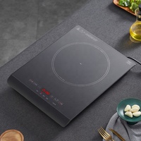 Neues Design Moderne Tischplatte Induktion sherd Einzel induktion skochfeld Elektrische Induktion sherd Pfannen Set