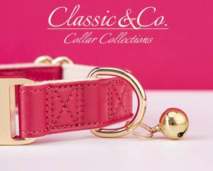 Peach Waterproof PU Leather & Lead,Solid Dog Collar Leash Set,Engraved Metal Buckle <b>Plate</b> + Free Pet <b>Name</b> Tag,Wedding Puppy Gift - Product Image 5