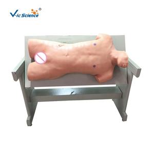 แบบจำลองการฝึกทักษะการเจาะและการเคาะแบบครอบคลุมหุ่นจำลองการศึกษาการพยาบาล - Product Image 1