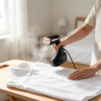 Fer à vapeur portable électrique pour vêtements, réservoir d'eau amovible, défroisseur vertical pour vêtements, défroisseur à main