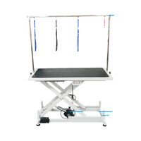 Table de toilettage électrique carrée pour animaux de compagnie avec hauteur réglable pour salon de beauté canin