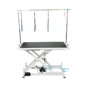 <span class=keywords><strong>Table</strong></span> de toilettage électrique pliable multifonctionnelle avec lumière LED, gants de nettoyage et <span class=keywords><strong>d</strong></span>'<span class=keywords><strong>épilation</strong></span> pour animaux, et fonctions de coiffage – Offre Spéciale - Product Image 1