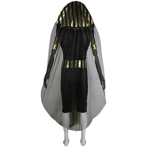 Meilleurs costumes de pharaons égyptiens Costume de cléopâtre pour femmes Costume adulte <span class=keywords><strong>Halloween</strong></span> - Product Image 6