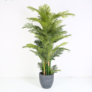 Taille personnalisée Décoration Gazon Artificiel Et Arbres Pour La Rue <span class=keywords><strong>palmier</strong></span> Aréca - Product Image 6