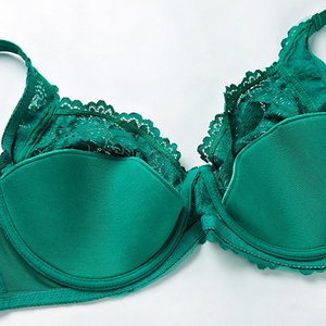 <span class=keywords><strong>Soutien</strong></span>-<span class=keywords><strong>gorge</strong></span> grande <span class=keywords><strong>taille</strong></span> ultra-mince en dentelle d'approvisionnement direct européen et américain couleur unie Sexy EF grande tasse Lingerie pour femmes grande <span class=keywords><strong>taille</strong></span> - Product Image 5