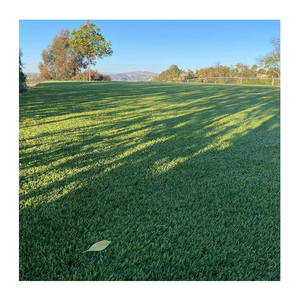 Brasil Alta Qualidade Natural Jardim Paisagem Relva Artificial Grama Sinté<span class=keywords><strong>tica</strong></span> Tapete Verde Cesped Tapete Grama Artificial Tape - Product Image 5