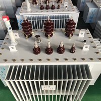 Transformador Sumergido en Aceite de 315 kVA Montado en Poste con Enfriamiento Confiable