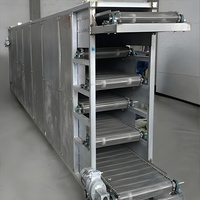 Voedselveilige gaasbanddroger continue transportband droogmachine voor wintermeloenplakjes, cassave en fruitchips