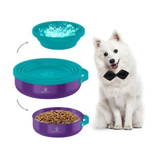 Alimentador de comida para mascotas 2 en 1 de 30oz, cuenco aislado para mascotas, botella de agua para mascotas de acero inoxidable a prueba de fugas para exteriores, alimentador lento para cachorro - Product Image 1