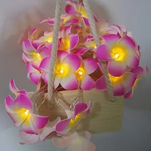Novo produto de desenho de flores de ovo para casa, quarto infantil, jardim, iluminação de férias, decoração de LED, luz de corda de fadas