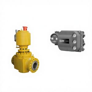 Controlador de Válvula de Acero Aleado FISHER DVC6200P OEM en Stock con Válvula de Bola de Aguas Profundas China G2080 para Aplicaciones de Gas, 1 Año de Garantía - Product Image 1