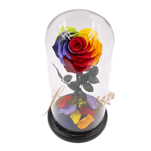 Set regalo di rosa incantata nuova bellezza conservata e la bestia rosa per San Valentino - Product Image 1