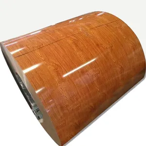 Sıcak satış PPGI bobini renk kaplı/boyalı çelik bobin renkli metal çatı kaplama levhası bina için