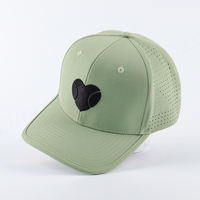 Op maat gemaakte 3D geborduurde logo 5-delige unisex lasergesneden gatjes luipaard Oxford waterdichte 100% polyester sport baseball golf pet