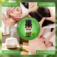 Huile Essentielle de Menthe Poivrée Premium, Huile Botanique Naturelle de Menthe, Aromathérapie, Massage, Parfum, Soins Personnels, Fournitures Cosmétiques