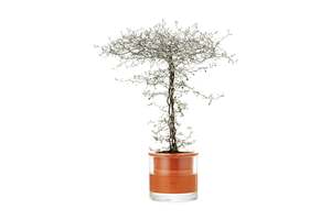 Kit de jardinière de <span class=keywords><strong>Pot</strong></span> humide auto-arrosant de ferme décors d'intérieur extérieurs uniques pour l'utilisation de <span class=keywords><strong>Pot</strong></span> de fleur suspendu de plancher de jardin de pépinière - Product Image 4