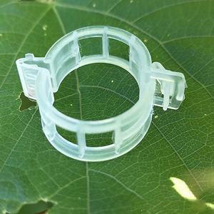 Clip <span class=keywords><strong>de</strong></span> fixation transparent rond en plastique pour treillis <span class=keywords><strong>de</strong></span> serre agricole, pour la culture <span class=keywords><strong>de</strong></span> tomates/concombres, 22/25mm - Product Image 6