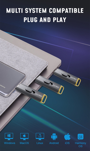 2100 MB/S 20Gbps USB3.<span class=keywords><strong>2</strong></span> Gen <span class=keywords><strong>2</strong></span>*<span class=keywords><strong>2</strong></span> 512 esterno GB/1TB/2TB SSD nuovo Mobile di archiviazione USB Flash Drive accessori per <span class=keywords><strong>Computer</strong></span> - Product Image 3