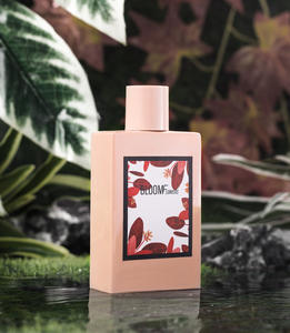Parfum pour femmes, parfum floral durable, vaporisateur pour le corps, vente en gros, prix d'usine, qualité originale, eau de Cologne de luxe - Product Image 2
