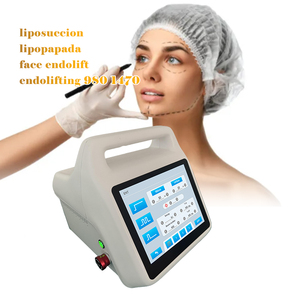 Equipo Portátil de Fisioterapia Clase 4, 980nm y 1470nm, 50W, Fibra Endo, Lifting Facial, Rejuvenecimiento de la Piel, Liposucción, Precio - Product Image 4
