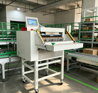 Machine d'emballage automatique de sacs polyvalents neuve, directement de l'usine, pour l'expédition express