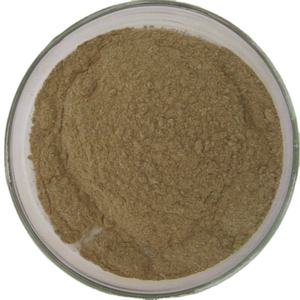 GMP standart yüksek kalite japon <span class=keywords><strong>Angelica</strong></span> kök gıda sınıfı özü davul bitki özü paketlenmiş vakum - Product Image 1