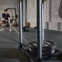 Fitstyle Fitness Carrosse de résistance mécanique professionnel en métal avec système de traction et ensemble d'haltères unisexe