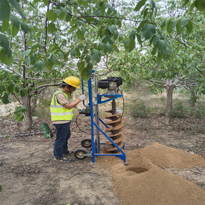 Foratura del battipalo della vite perforata - Product Image 6