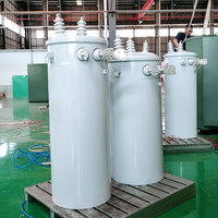 Transformador de Distribución Monofásico Sumergido en Aceite de Alta Tensión JZP 12.47kV/240-480V 100kVA para Montaje en Poste