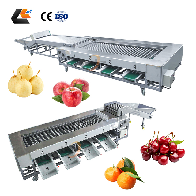 Wide Application Fruit & Vegetable Grading & Sorting Machine for Nuts Potato Onion-304 Stainless Steel Customizable Capacity