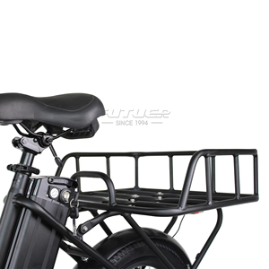 Bicicleta Eléctrica de Carga de 48v 350w con 2 Ruedas, 7 Velocidades y Desviador - Product Image 6