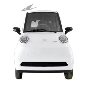Mini coche eléctrico de <span class=keywords><strong>2</strong></span> asientos para comida, furgoneta, cabina, scooter, coche de baja velocidad, vehículo eléctrico de cuatro ruedas, a la venta coches pequeños, barato - Product Image 5