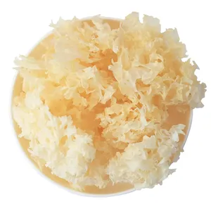 Qinshantang, частная марка, экстракт тремеллы фуциформис, порошок, органический порошок тремеллы, экстракт грибов, порошок - Product Image 2