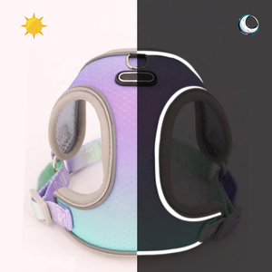 Néon couleur Xs petit animal de compagnie maille <span class=keywords><strong>harnais</strong></span> laisse ensemble minuscule sangle réfléchissante réversible <span class=keywords><strong>chien</strong></span> gilet vêtements chiot Teddy <span class=keywords><strong>chien</strong></span> <span class=keywords><strong>harnais</strong></span> - Product Image 3