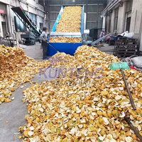 Déshydrateur/Sécheur Industriel pour Déchets Alimentaires, Machine de Séchage pour Bagasse de Canne à Sucre, Marc de Fruits, Écorces d'Orange