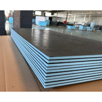 Panneau de mousse XPS pour chauffage au sol, style Wedi, haute compression, imperméable, pour la rénovation des zones humides de la maison, fournitures de construction